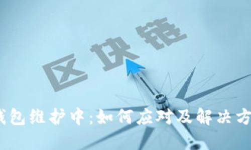 USDT钱包维护中：如何应对及解决方案一览
