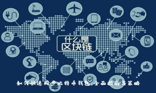 如何快速同步比特币钱包：全面指南与策略