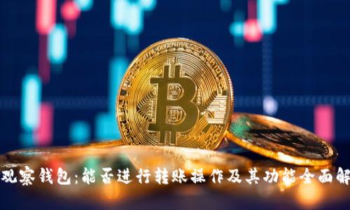 TP观察钱包：能否进行转账操作及其功能全面解析