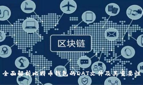 全面解析比特币钱包的DAT文件及其重要性