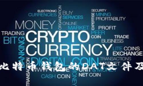 全面解析比特币钱包的DAT文件及其重要性