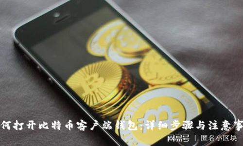 如何打开比特币客户端钱包：详细步骤与注意事项
