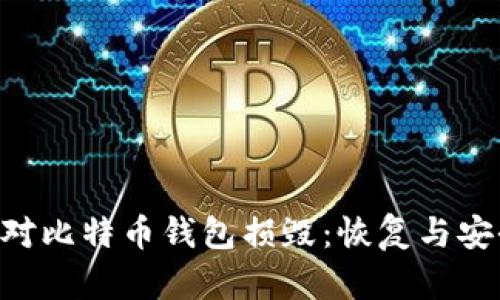 hiaoti如何应对比特币钱包损毁：恢复与安全措施全攻略