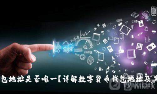 USDT钱包地址是否唯一？详解数字货币钱包地址及其安全性