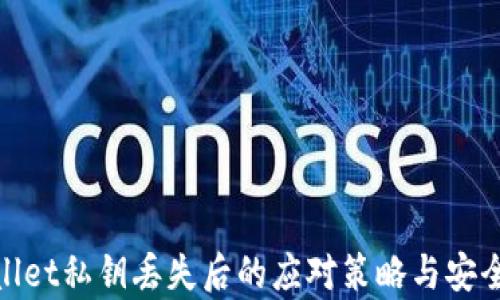 
tpwallet私钥丢失后的应对策略与安全建议