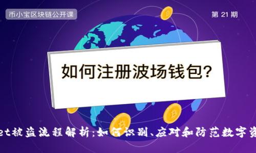 TPWallet被盗流程解析：如何识别、应对和防范数字资产盗窃