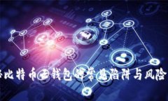 揭秘比特币云钱包的常见陷阱与风险防