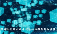 如何有效使用比特币钱包以炫耀你的加