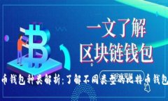 比特币钱包种类解析：了解不同类型的