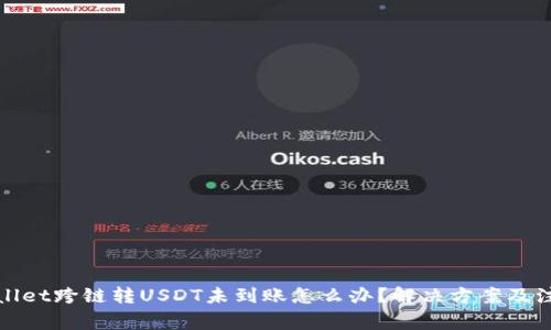 : TPWallet跨链转USDT未到账怎么办？解决方案及注意事项
