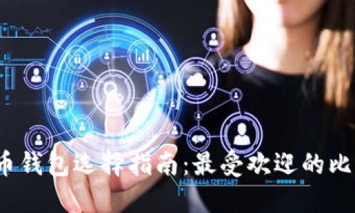2023年比特币钱包选择指南：最受欢迎的比特币钱包推荐