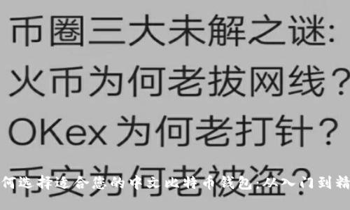 如何选择适合您的中文比特币钱包：从入门到精通