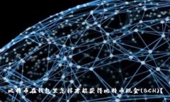 比特币在钱包里怎样才能获得比特币现