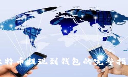 比特币提现到钱包的完整指南