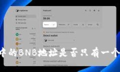 TPWallet中的BNB地址是否只有一个？详细