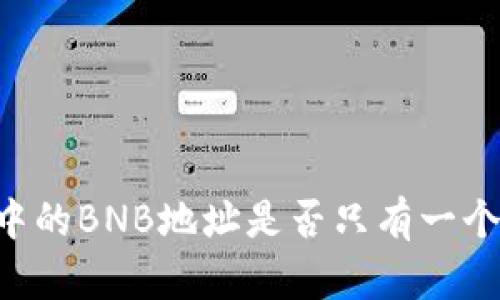 TPWallet中的BNB地址是否只有一个？详细解析