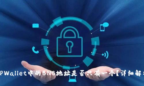 TPWallet中的BNB地址是否只有一个？详细解析