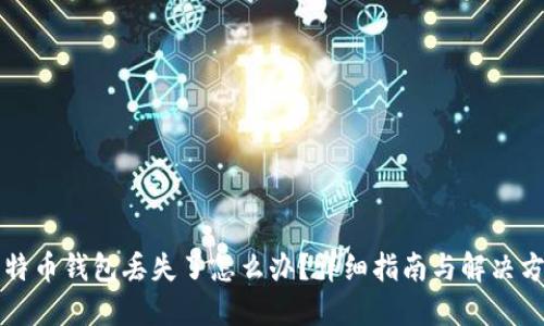 比特币钱包丢失了怎么办？详细指南与解决方案