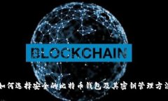 如何选择安全的比特币钱包及其密钥管
