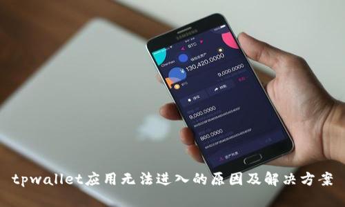 tpwallet应用无法进入的原因及解决方案
